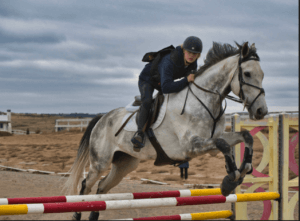 Physical Therapy for Equestrians