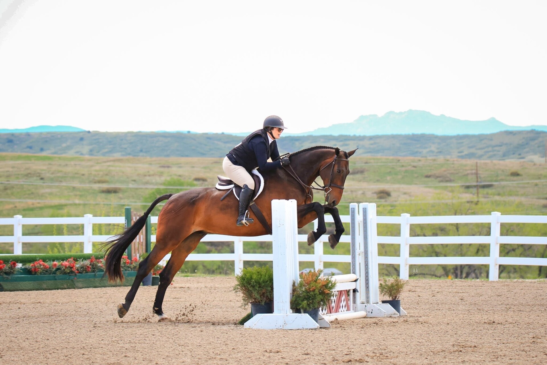 equestrian physical therapy